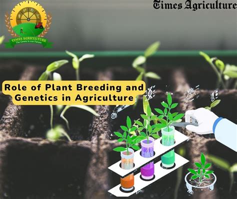 2023 Feb 7. . 10 importance of genetics in agriculture